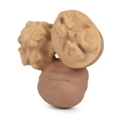 Nutty The Walnut Baby Teether -Pro Cycling Wear NUTTY THE WALNUT 2