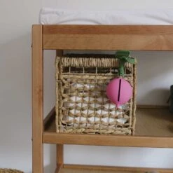 Ramona The Radish Pacifier Case -Pro Cycling Wear RADISH 5