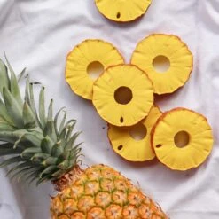Ananas The Pineapple Baby Teether -Pro Cycling Wear ananas4