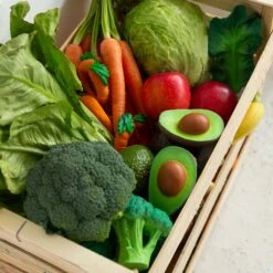 Arnold The Avocado Baby Teether 13 Arnold The Avocado Baby Teether -Pro Cycling Wear arnold4