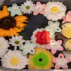 Bali The Flower Mini Baby Teether -Pro Cycling Wear bali2