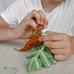 DIY Cathy The Carrot -Pro Cycling Wear carrot2