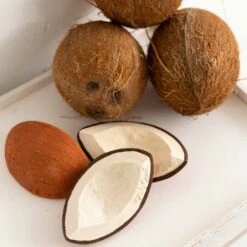 Coco The Coconut Baby Teether -Pro Cycling Wear coco4