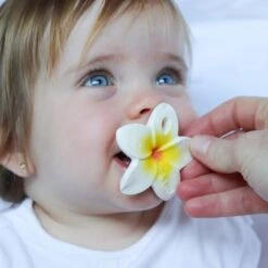 Hawaii The Flower Mini Baby Teether 13 Hawaii The Flower Mini Baby Teether -Pro Cycling Wear flower2