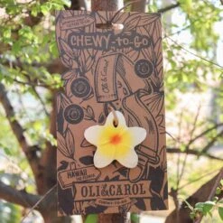 Hawaii The Flower Mini Baby Teether 14 Hawaii The Flower Mini Baby Teether -Pro Cycling Wear flower3