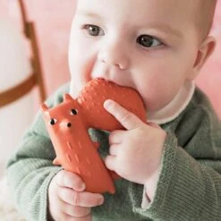 Cyril Squirrel Fox Baby Teether -Pro Cycling Wear fox1