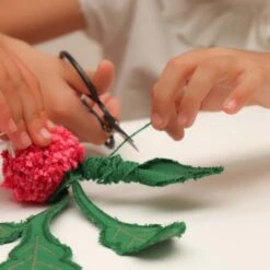 DIY Ramona The Radish -Pro Cycling Wear ramona2