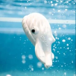Walter The Whale Bath Toy -Pro Cycling Wear whale1 53735b92 31f6 4495 bfff 5787738d98c7